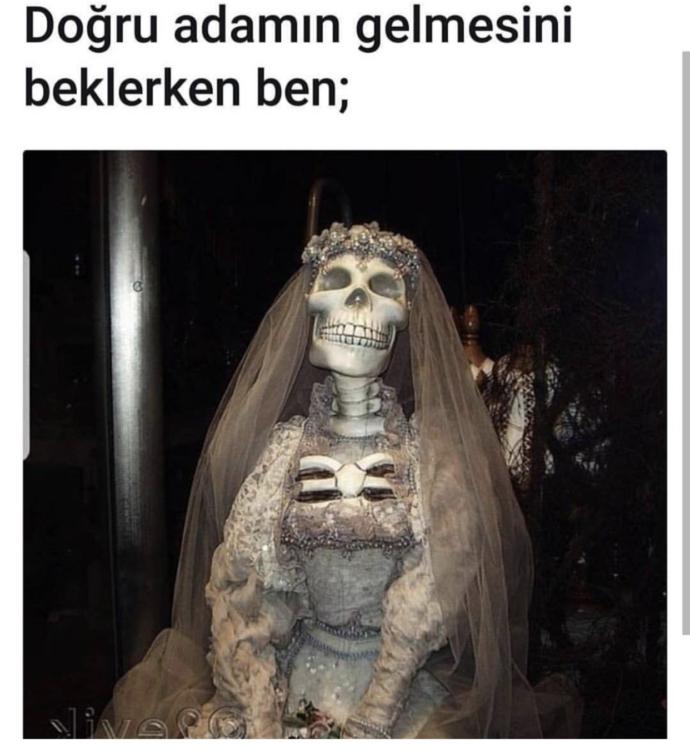 Doğru adamı beklerken iskelet olmaktan korkuyorum yardım 😱şu resme bakın☠️Ne yapacağım ?