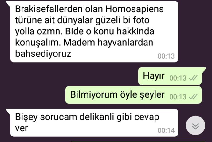 Acaba her kız böyle mesajlar alıyor mudur?