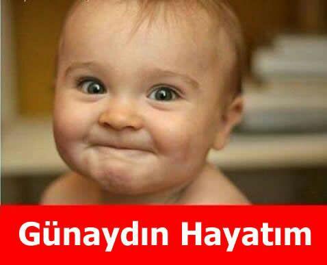 Hayatın sırrını çözdükten sonra, yaşamaya devam etmek sıkıcı olur mu?