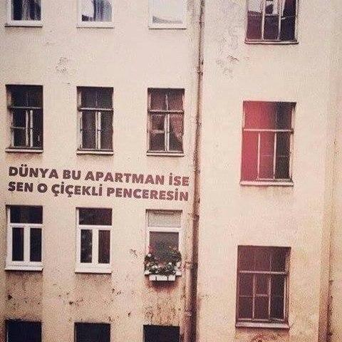 Dünya bu apartman ise sen o çiçekli penceresin dediğiniz biri var mı?