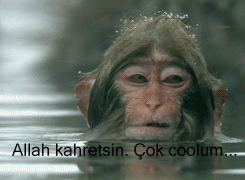"Kendini seven"le "kendini beğenmiş" kişilerin arasındaki farklar nelerdir?