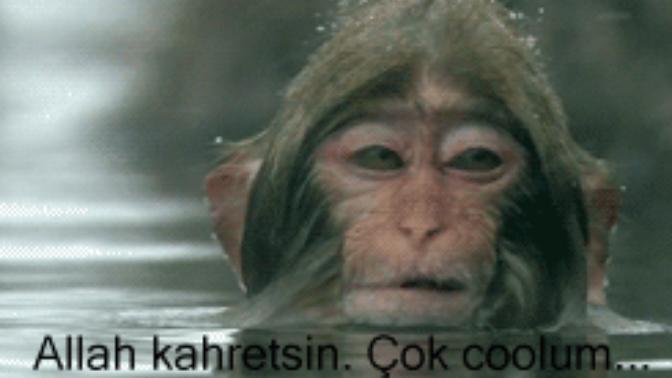 Kendini seven ve kendini beğenmiş kişilerin arasındaki farklar nelerdir?