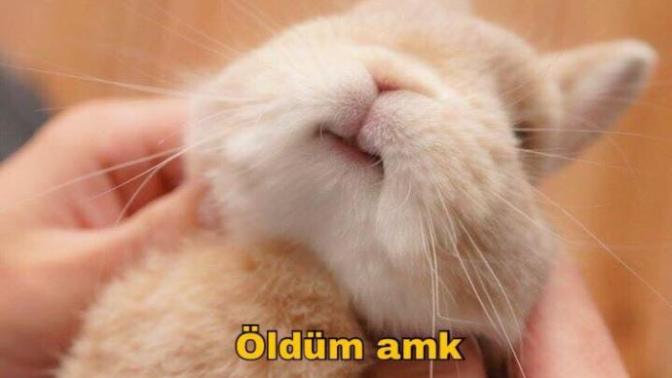 Acı biber yedikten sonra gözüme dokundum nasıl geçer?