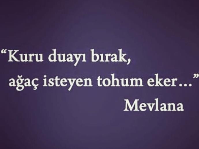 Bu sözü nasıl yorumlarsınız? Ne anlıyorsunuz bu sözden?