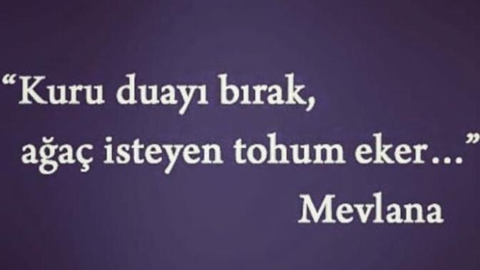 Bu sözü nasıl yorumlarsınız? Ne anlıyorsunuz bu sözden?