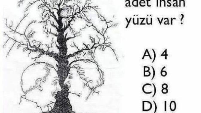 Resimde kaç tane insan yüzü var sizce hadı bakalım kim bielecek?