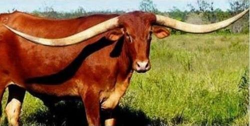 Sevgilim konuşma dediğim kızla benden habersiz görüşüyor ne yapmalıyım?
