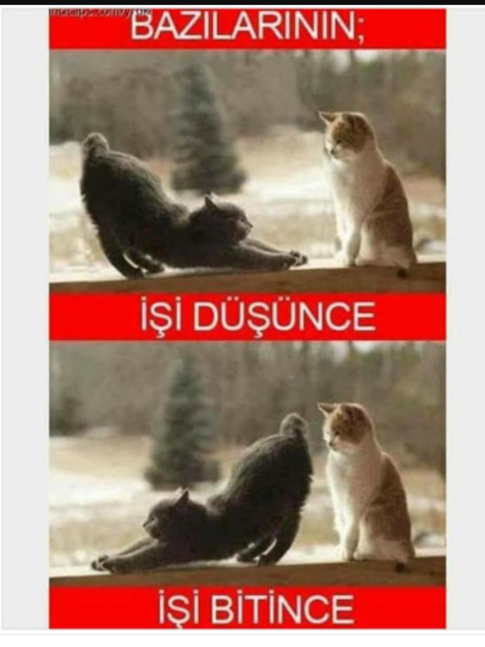 İşi düşünce mesaj atanlara karşı tutumunuz nedir?
