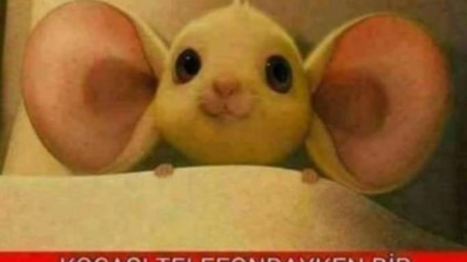 Eşiniz telefonda konuşurken kulağınız onda olur mu?