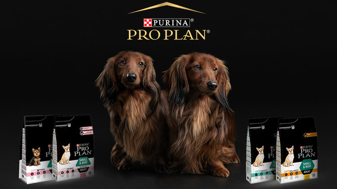Hangi kedi köpek mamasını kullanıyorsunuz?