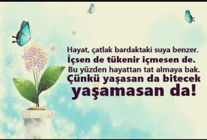 Nasıl "odun gibi kadın" olunur?
