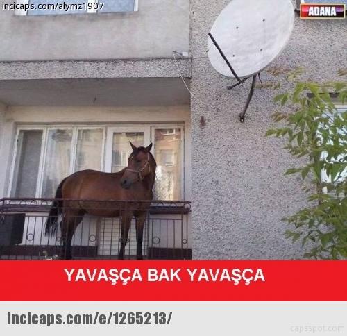 Neden garip olaylar hep Adana 'da oluyor ?