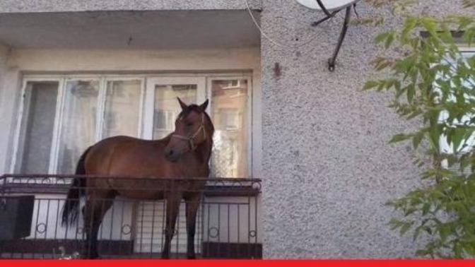 Neden garip olaylar hep Adana 'da oluyor?