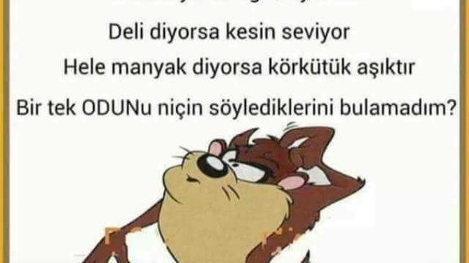 Sevdiginizi karşi tarafa nasil belli eder siniz?