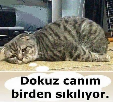 Bu can sıkıntısına ne iyi gider ?
