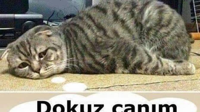 Bu can sıkıntısına ne iyi gider?