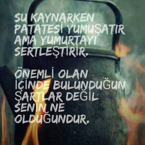 ANLAYANA GÜZEL BİR SÖZ OLMUŞ..!?