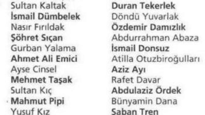 Soy ismini beğenmediğiniz biriyle evlenir miydiniz?