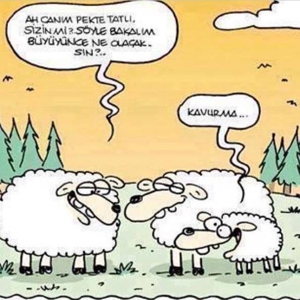 Çiğ ete dokunurken tiksiniyor musunuz?