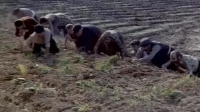 Eşinizin ailesi hıyar tarlanıza girip bütün hıyarları yerse ne yaparsınız?