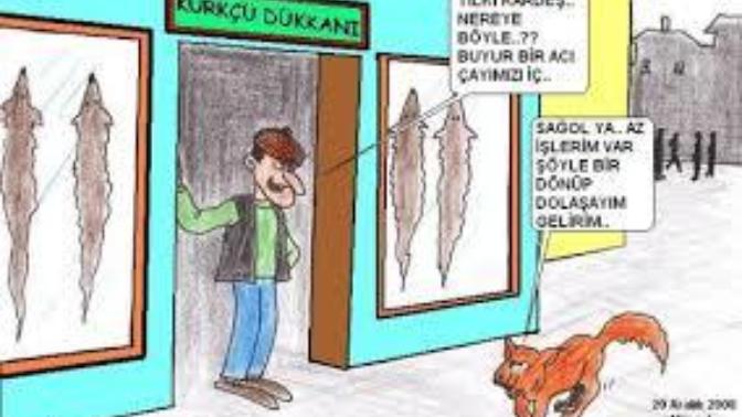 Tilkinin dönüp dolaşacağı yer kürkçü dükkanıdır! ?