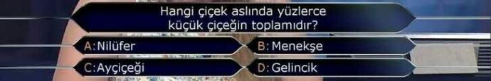 Hangi çiçek aslında yüzlerce küçük çiçeğin toplamıdır?