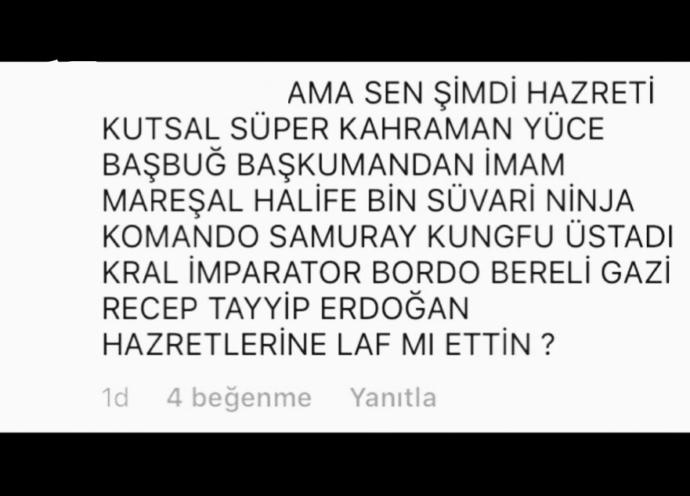 Recep Tayyip Erdoğan'a Laf Edenlere Ne Söylemek İstersiniz?