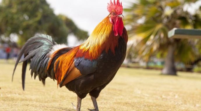 Uçuk saç modelleri ve renkleri sizce de abartılı olmuyor mu?