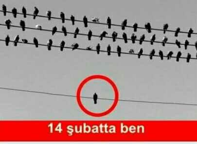 Sevgilisi olupta sevgilisi yokmuş gibi hisseden varmı??