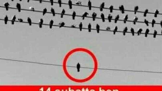 Sevgilisi olupta sevgilisi yokmuş gibi hisseden varmı?