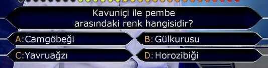 Kavuniçi ile pembe arasındaki renk hangisidir?