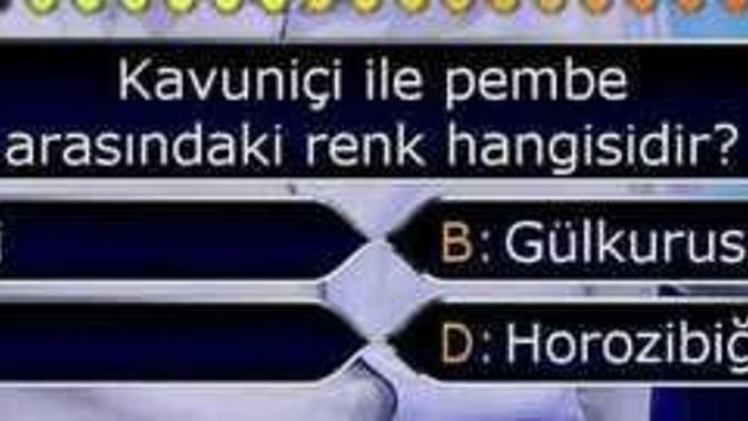 Kavuniçi ile pembe arasındaki renk hangisidir?