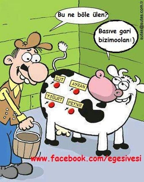 Şiveli konuşan insanlara sempati mi, antipati mi duyuyor sunuz ? Hangi yörenin şivesi hoşunuza gidiyor?