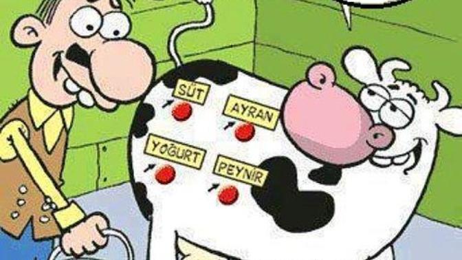 Şiveli konuşan insanlara sempati mi, antipati mi duyuyorsunuz? Hangi yörenin şivesi hoşunuza gidiyor?