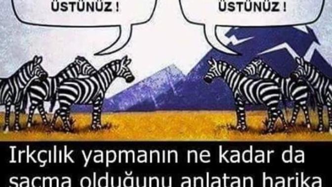 Siz ırkçı mısınız?