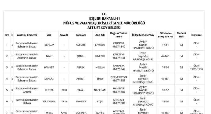 E-Devlet alt üst soy belgesinde rastlanan ve sizi şaşırtan tuhaf isimler oldu mu?