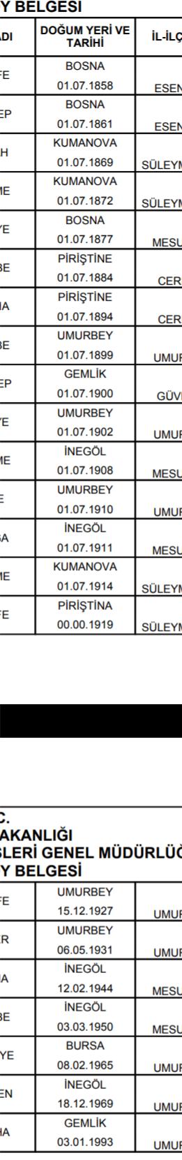 E devlette soy ağacı hizmetinde bütün büyük akrabaları balkan göçmeni/ yurtdışından çıkan var mı?