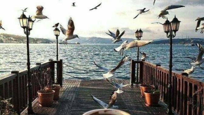 Çektiğiniz manzara, gün batımı vb. resimleri paylaşır mısınız?