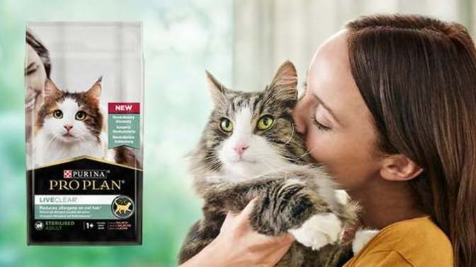 En i̇yi bildiğiniz kedi maması markası nedir?