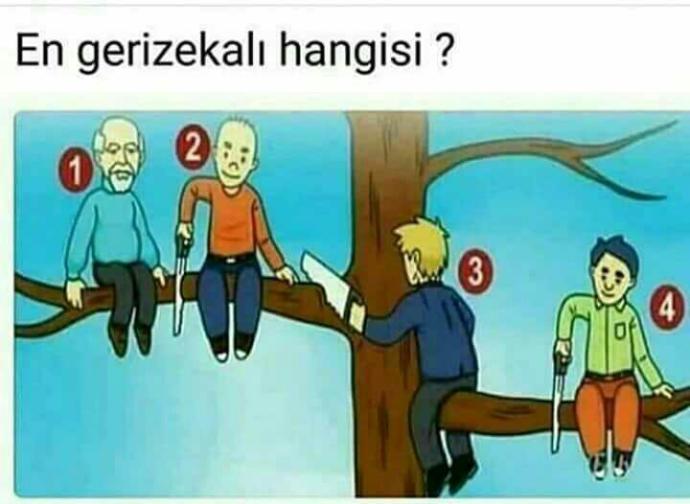 Hangisi daha ahmak??