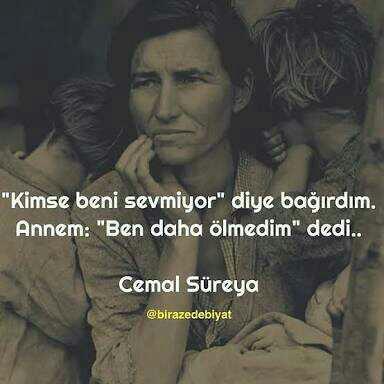 Cemal süreya severmisin??