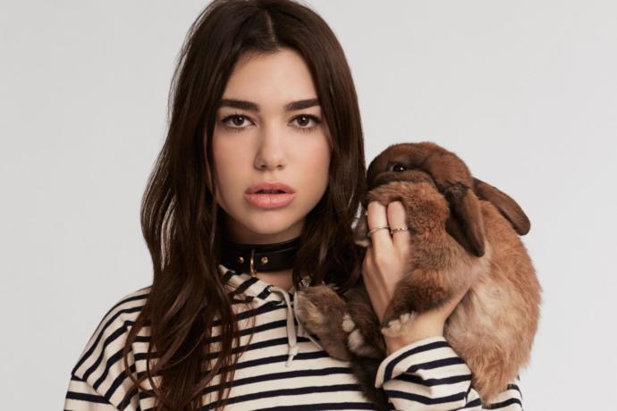 shakira(1.55) mı dua lipa(1.73) mı daha çekici güzel?