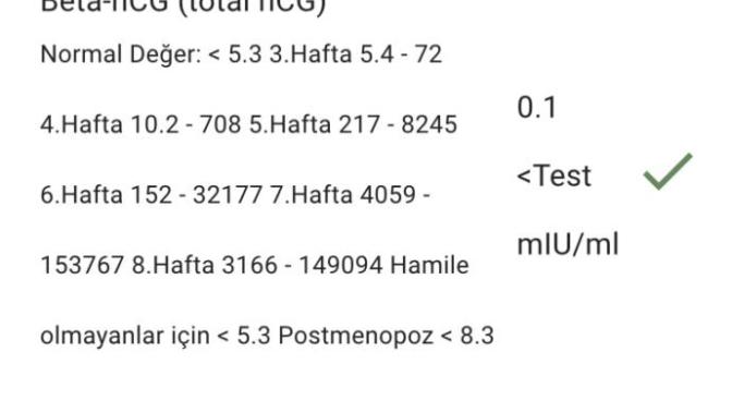 Bu sonuca göre hamile miyim?