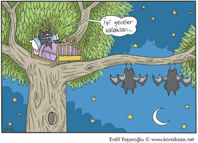 Komşum bana iyi geceler dedi, ne demek istedi? :) ?