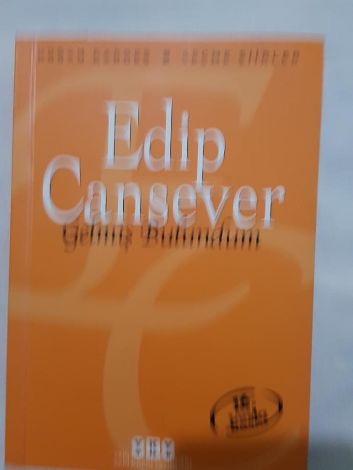 'Bir renk değildir mavi huydur bende'ne demek?