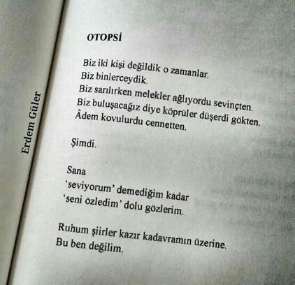 İyi geceler, geceye bir şiir bırakır mısınız??