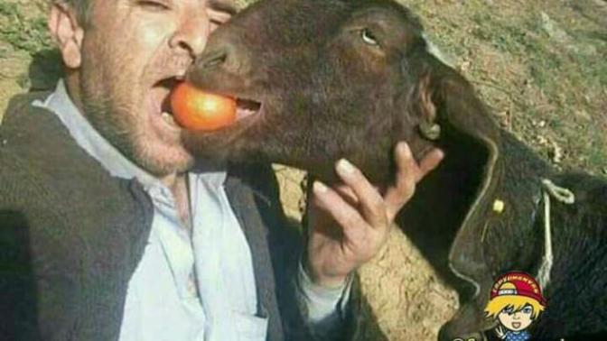 Seninle şöyle olabilirdik diyeceginiz biri varmı?
