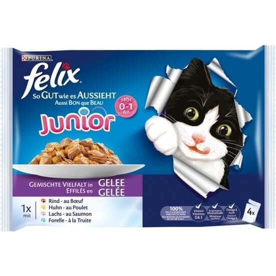 ucuz kedi maması