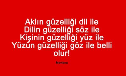 "Aklın güzelliği dil ile,dilin güzelliği söz ile,kişinin güzelliği yüz ile,yüzün güzelliği göz ile belli olur." Doğru mu sizce?