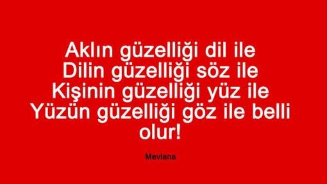 "Aklın güzelliği dil ile, dilin güzelliği söz ile, kişinin güzelliği yüz ile, yüzün güzelliği göz ile belli olur." Doğru mu sizce?